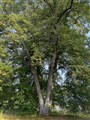 IMG_2756.jpg