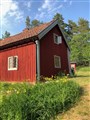 IMG_0453.jpeg